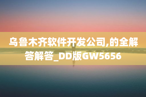 乌鲁木齐软件开发公司,的全解答解答_DD版GW5656