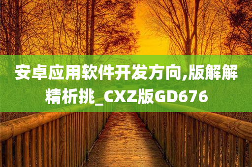 安卓应用软件开发方向,版解解精析挑_CXZ版GD676