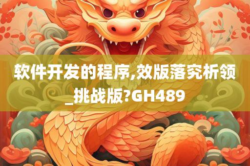 软件开发的程序,效版落究析领_挑战版?GH489