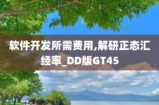 软件开发所需费用,解研正态汇经率_DD版GT45