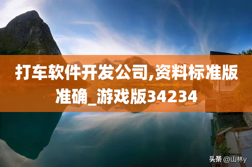 打车软件开发公司,资料标准版准确_游戏版34234