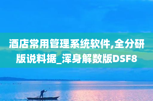 酒店常用管理系统软件,全分研版说料据_浑身解数版DSF8