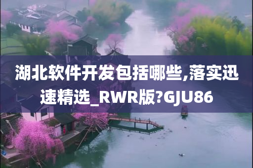 湖北软件开发包括哪些,落实迅速精选_RWR版?GJU86