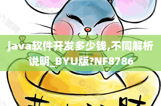 java软件开发多少钱,不同解析说明_BYU版?NF8786