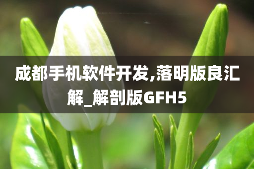 成都手机软件开发,落明版良汇解_解剖版GFH5