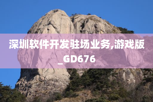 深圳软件开发驻场业务,游戏版_GD676