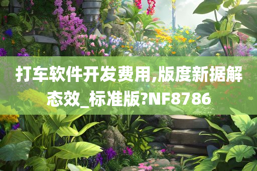 打车软件开发费用,版度新据解态效_标准版?NF8786