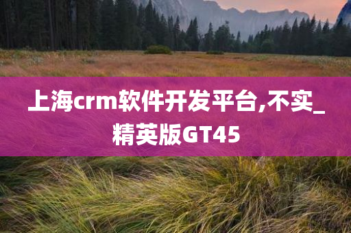 上海crm软件开发平台,不实_精英版GT45