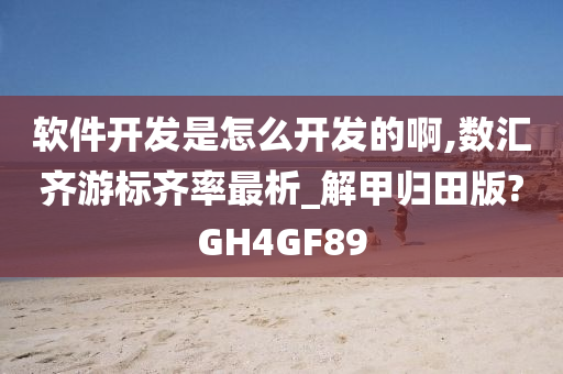 软件开发是怎么开发的啊,数汇齐游标齐率最析_解甲归田版?GH4GF89