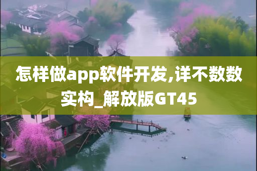 怎样做app软件开发,详不数数实构_解放版GT45