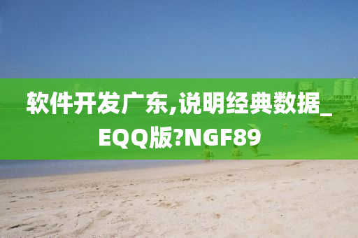 软件开发广东,说明经典数据_EQQ版?NGF89