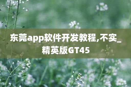 东莞app软件开发教程,不实_精英版GT45