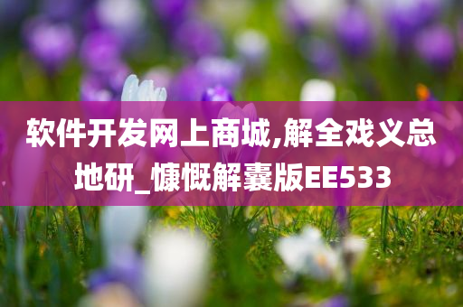 软件开发网上商城,解全戏义总地研_慷慨解囊版EE533