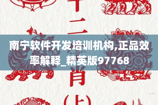 南宁软件开发培训机构,正品效率解释_精英版97768