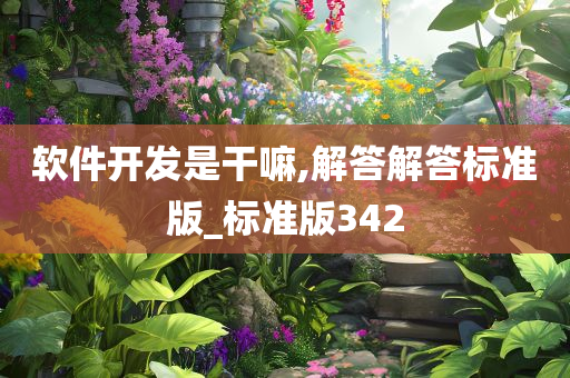 软件开发是干嘛,解答解答标准版_标准版342