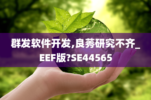 群发软件开发,良莠研究不齐_EEF版?SE44565