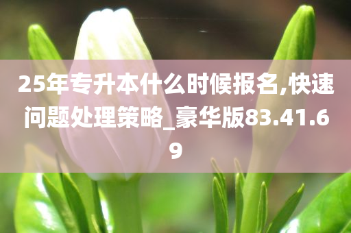 25年专升本什么时候报名,快速问题处理策略_豪华版83.41.69