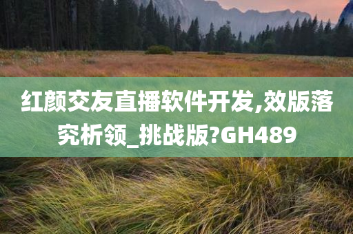 红颜交友直播软件开发,效版落究析领_挑战版?GH489