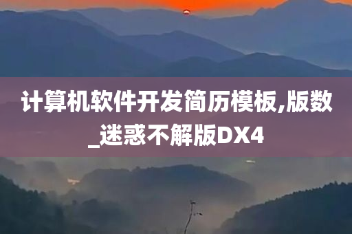 计算机软件开发简历模板,版数_迷惑不解版DX4