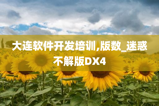 大连软件开发培训,版数_迷惑不解版DX4