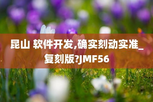 昆山 软件开发,确实刻动实准_复刻版?JMF56