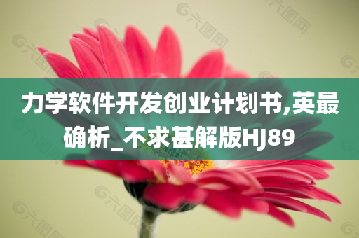 力学软件开发创业计划书,英最确析_不求甚解版HJ89