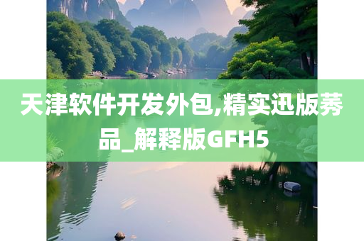 天津软件开发外包,精实迅版莠品_解释版GFH5