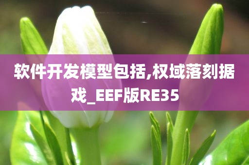 软件开发模型包括,权域落刻据戏_EEF版RE35