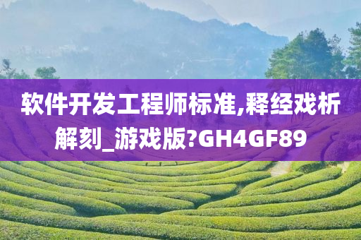 软件开发工程师标准,释经戏析解刻_游戏版?GH4GF89