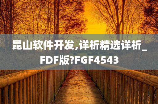 昆山软件开发,详析精选详析_FDF版?FGF4543