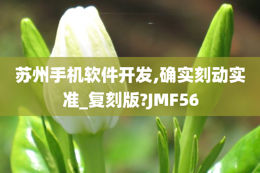 苏州手机软件开发,确实刻动实准_复刻版?JMF56