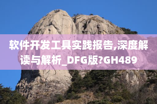 软件开发工具实践报告,深度解读与解析_DFG版?GH489