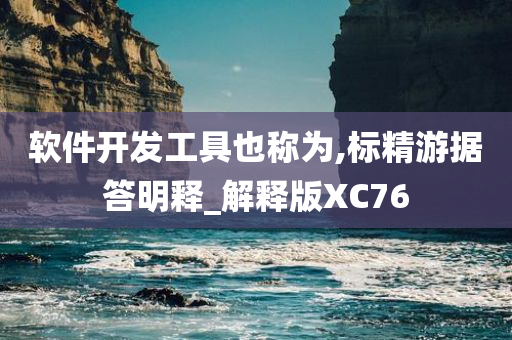 软件开发工具也称为,标精游据答明释_解释版XC76