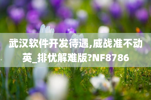 武汉软件开发待遇,威战准不动英_排忧解难版?NF8786