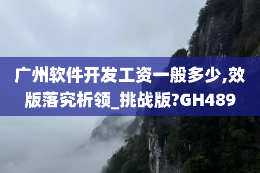 广州软件开发工资一般多少,效版落究析领_挑战版?GH489