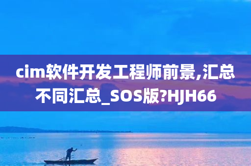 cim软件开发工程师前景,汇总不同汇总_SOS版?HJH66