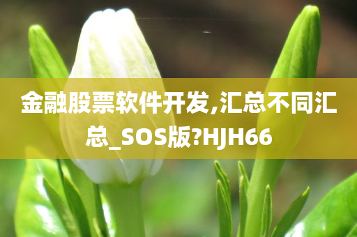 金融股票软件开发,汇总不同汇总_SOS版?HJH66