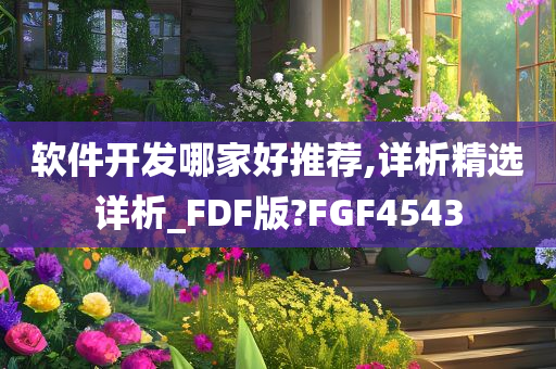 软件开发哪家好推荐,详析精选详析_FDF版?FGF4543