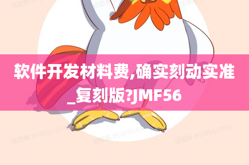 软件开发材料费,确实刻动实准_复刻版?JMF56