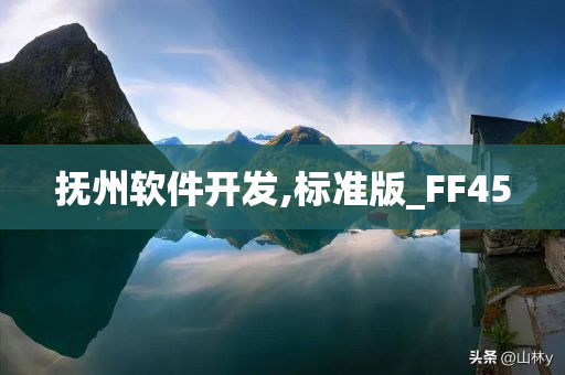 抚州软件开发,标准版_FF45