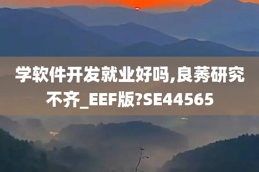 学软件开发就业好吗,良莠研究不齐_EEF版?SE44565