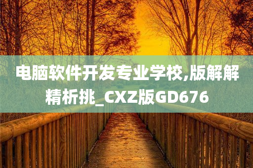 电脑软件开发专业学校,版解解精析挑_CXZ版GD676