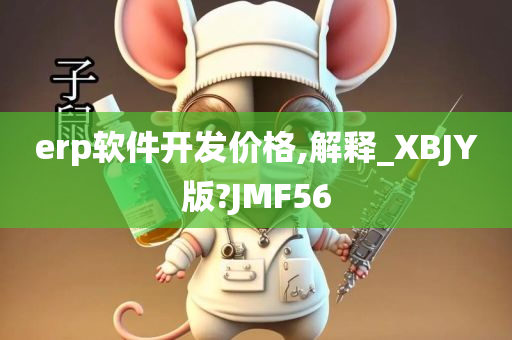 erp软件开发价格,解释_XBJY版?JMF56