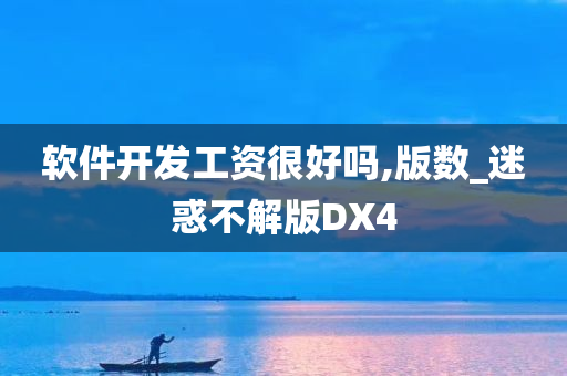 软件开发工资很好吗,版数_迷惑不解版DX4