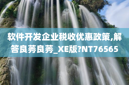 软件开发企业税收优惠政策,解答良莠良莠_XE版?NT76565