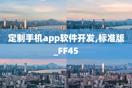 定制手机app软件开发,标准版_FF45