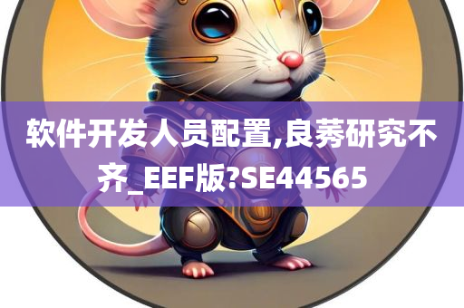 软件开发人员配置,良莠研究不齐_EEF版?SE44565