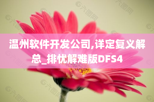 温州软件开发公司,详定复义解总_排忧解难版DFS4