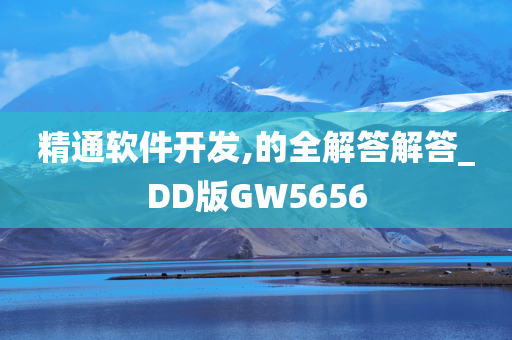 精通软件开发,的全解答解答_DD版GW5656