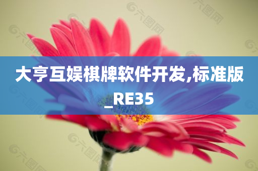 大亨互娱棋牌软件开发,标准版_RE35